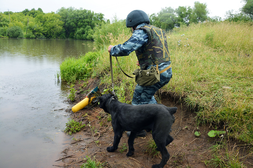 Тактико-специальное антитеррористическое учение в Республике Мордовия: работа кинолога с собакой