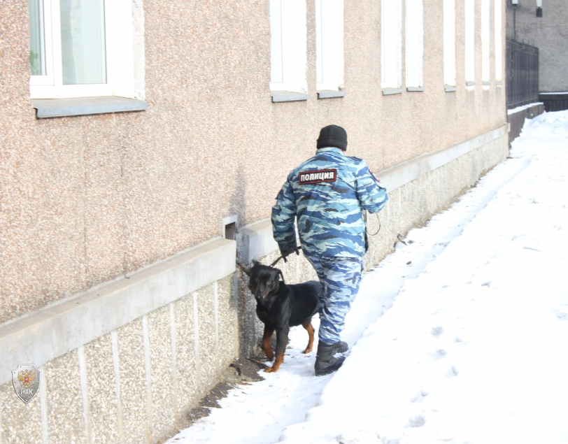 Хакасский государственный университет стал местом проведения антитеррористических учений