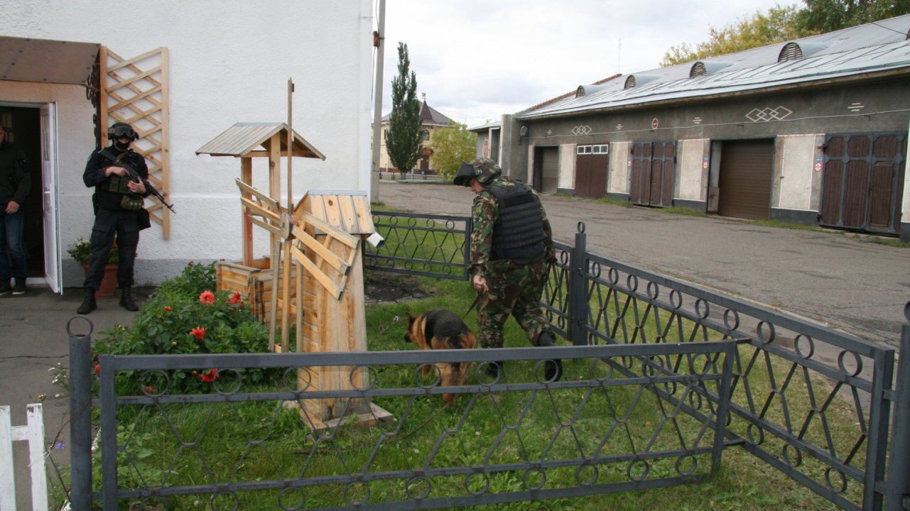 Обследование группой ликвидации угрозы взрыва  местности на предмет выявления взрывных устройств