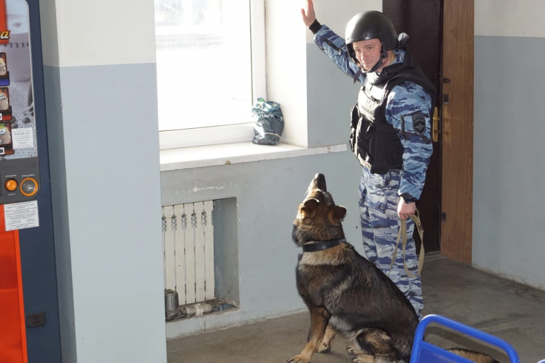 Оперативным штабом в Липецкой области проведено плановое тактико-специальное учение «Циклон-2019»