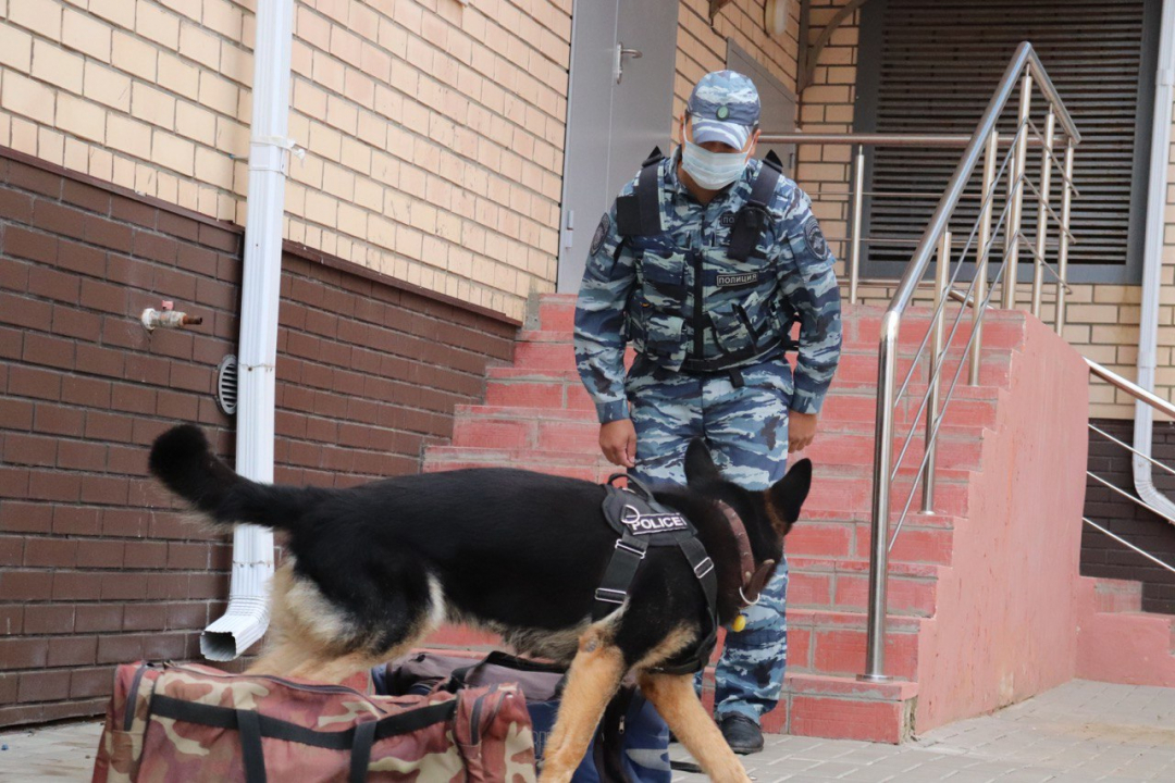 В Республике Калмыкия прошли мероприятия, посвященные Дню солидарности в борьбе с терроризмом