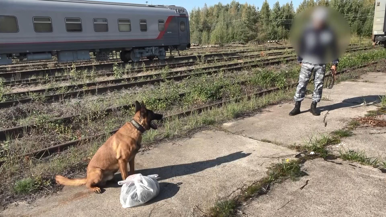 Командно-штабное учение в Санкт-Петербурге 