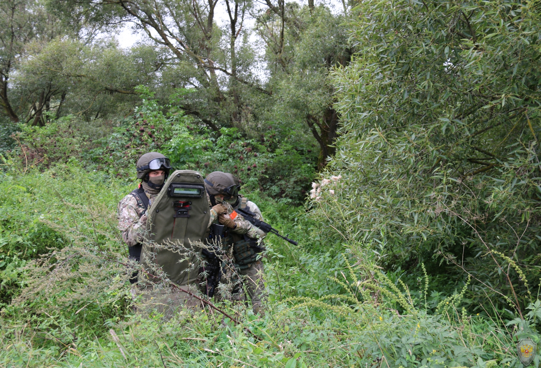 Проведены тактико-специальные учения антитеррористических группировок Брянской и Курской областей