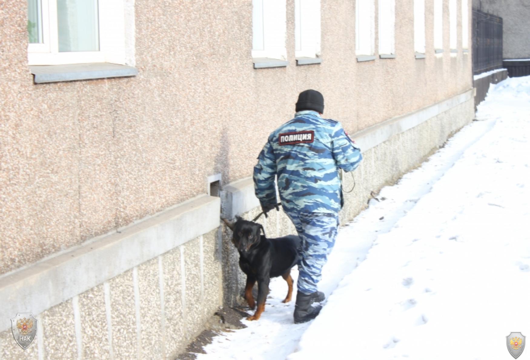 Хакасский государственный университет стал местом проведения антитеррористических учений