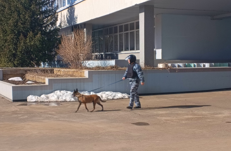 Антитеррористическая тренировка в Дубне