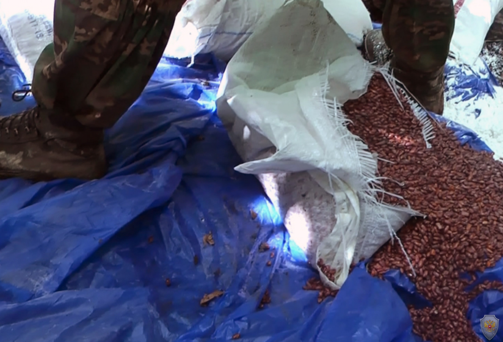 В Ингушетии уничтожена крупная продовольственная база бандподполья, в Дагестане обнаружено два бандитских тайника