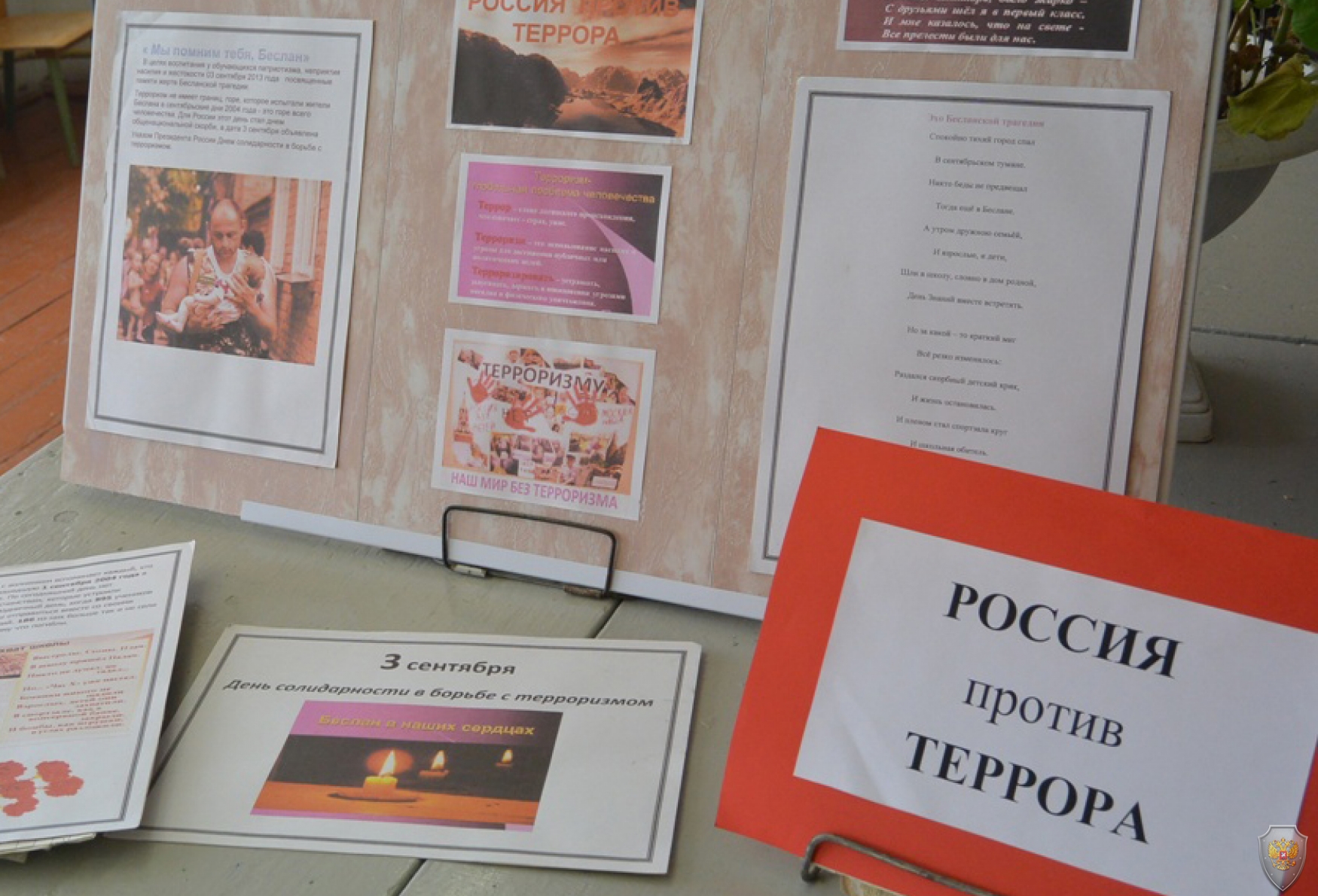 Тематическая выставка, Питерский муниципальный район