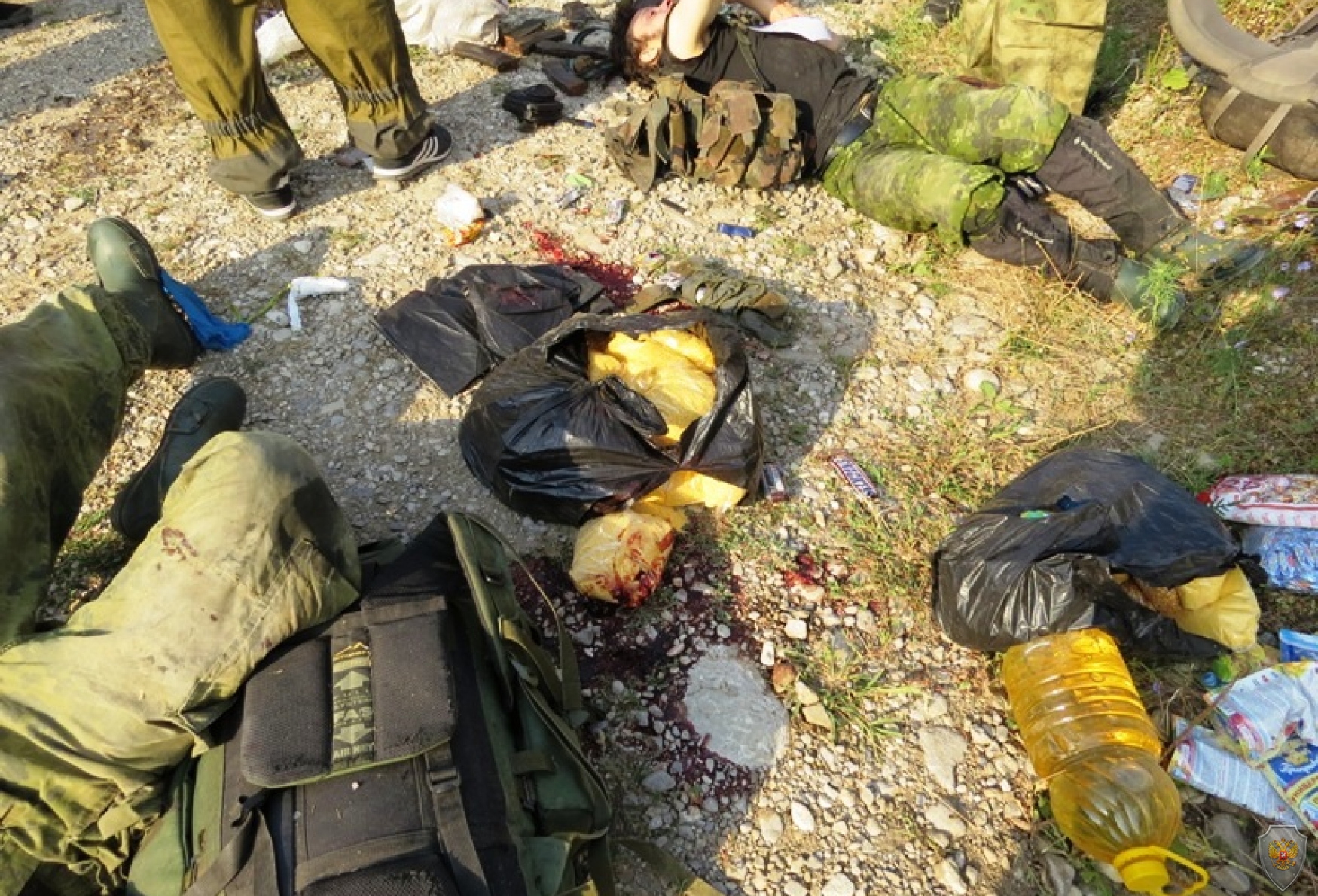 В Ингушетии нейтрализована группа из восьми боевиков ИГИЛ