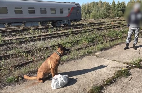 Командно-штабное учение в Санкт-Петербурге 