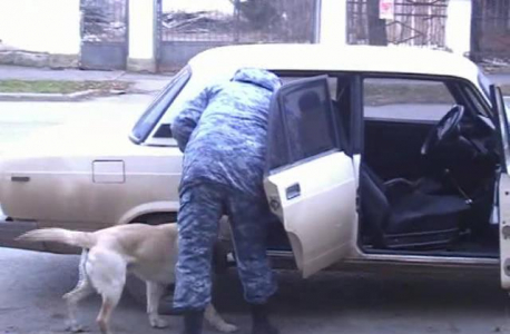 Кинолог с собакой проводит осмотр машины условных террористов на предмет наличия взрывчатки