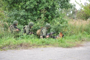 Проведены тактико-специальные учения антитеррористических группировок Брянской и Курской областей