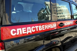 В Санкт-Петербурге возбуждено уголовное дело в отношении мужчины, подозреваемого в пособничестве в участии в деятельности террористической организации