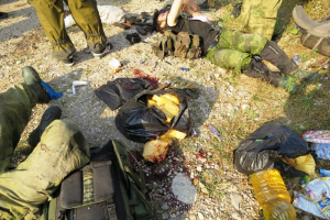 В Ингушетии нейтрализована группа из восьми боевиков ИГИЛ