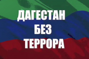 Видеоролики